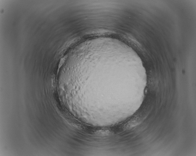 X0000068840119200605261650