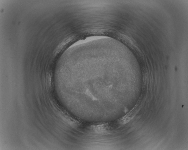 X0000068840120200605261650