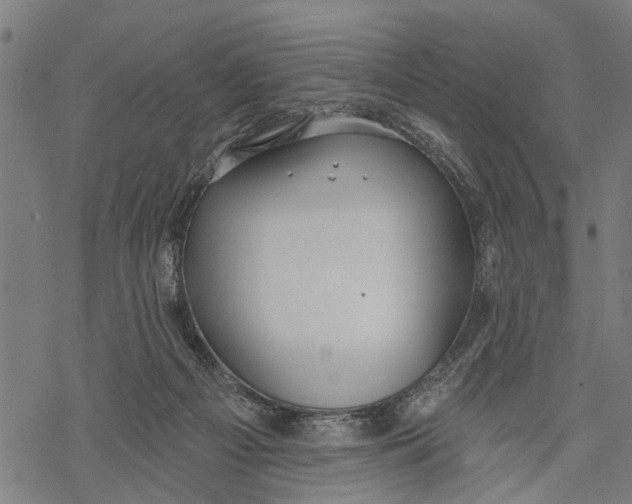 X0000068840121200605261650