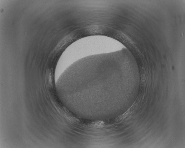 X0000068840124200605261650