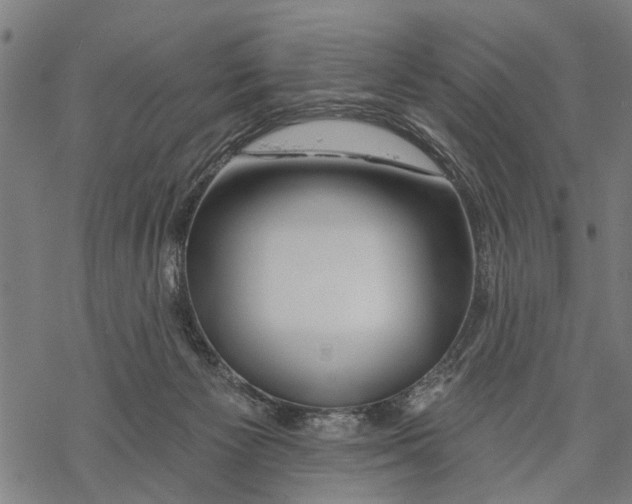 X0000068840125200605261650