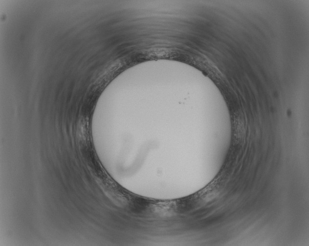 X0000068840126200605261650