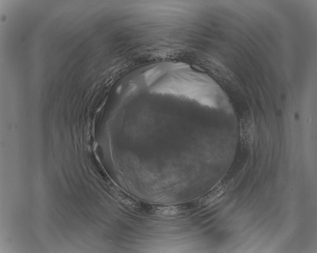 X0000068840127200605261650