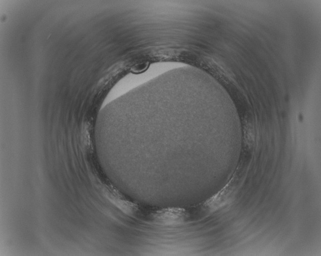 X0000068840128200605261650