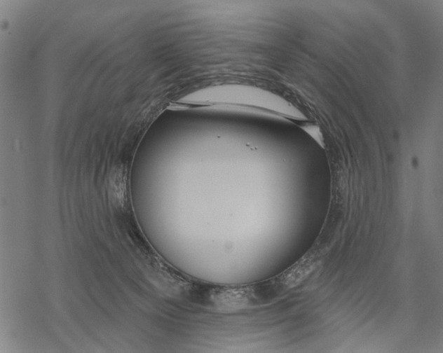 X0000068840129200605261650