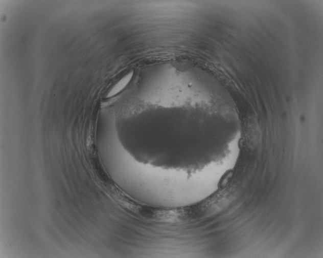 X0000068840131200605261650