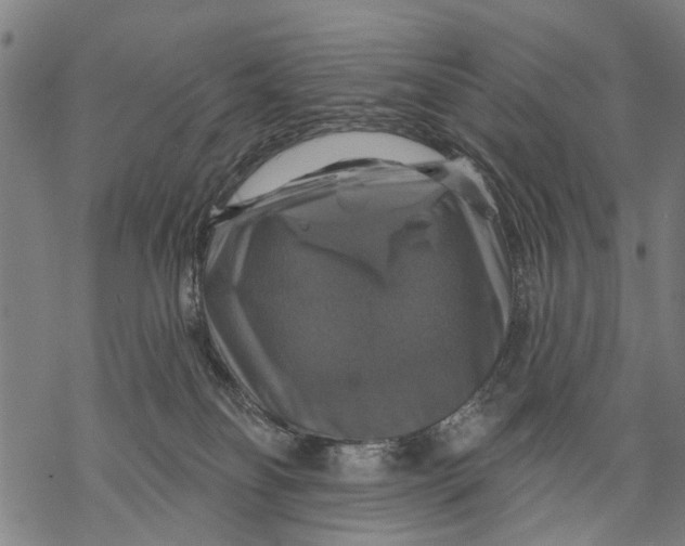 X0000068840134200605261650