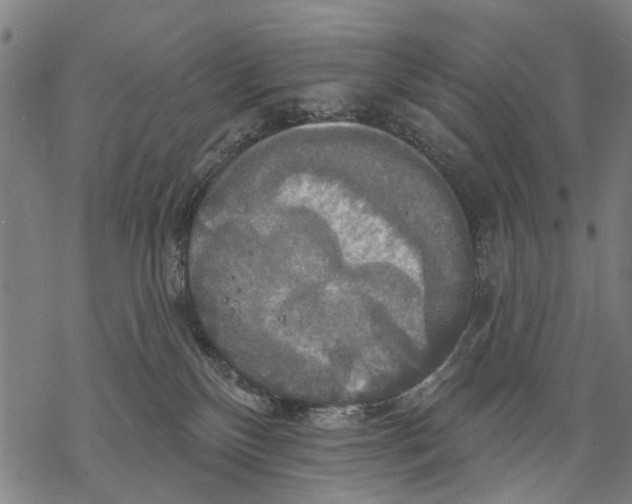 X0000068840136200605261650