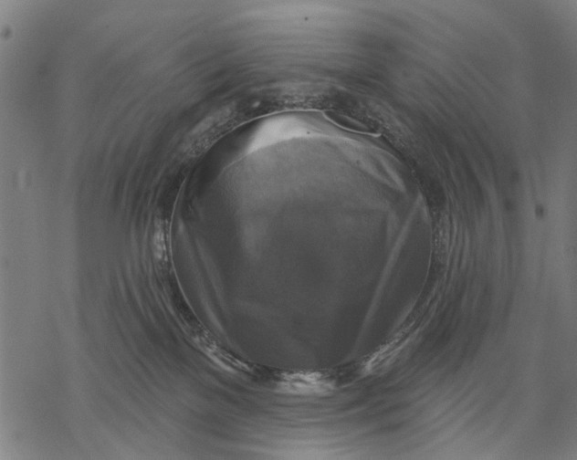 X0000068840137200605261650