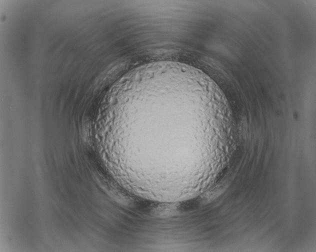 X0000068840138200605261650