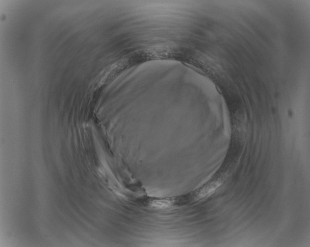 X0000068840139200605261650