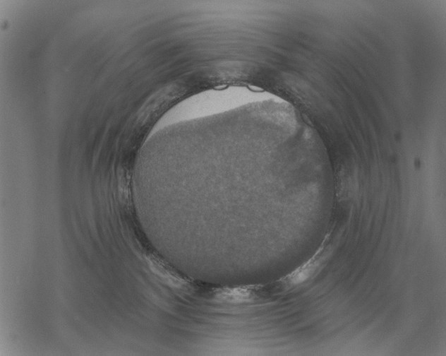 X0000068840140200605261650