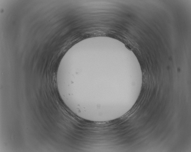 X0000068840141200605261650