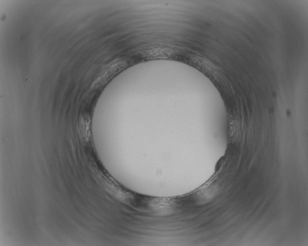 X0000068840142200605261650