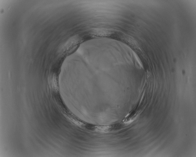 X0000068840143200605261650