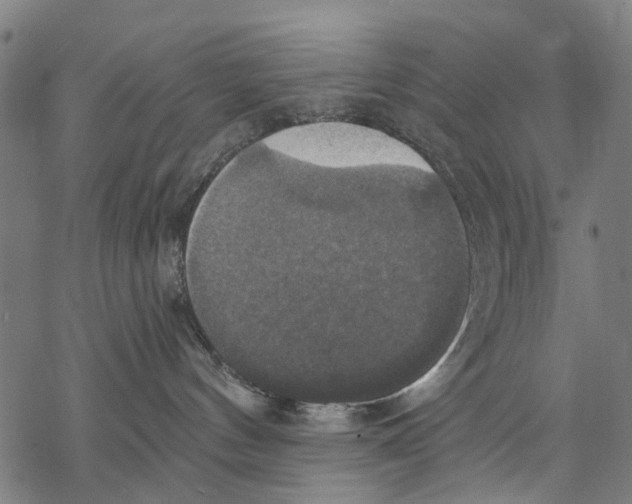 X0000068840144200605261650