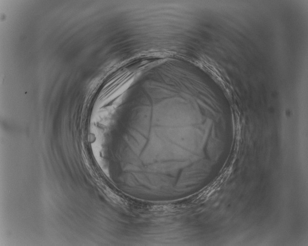 X0000068840145200605261649