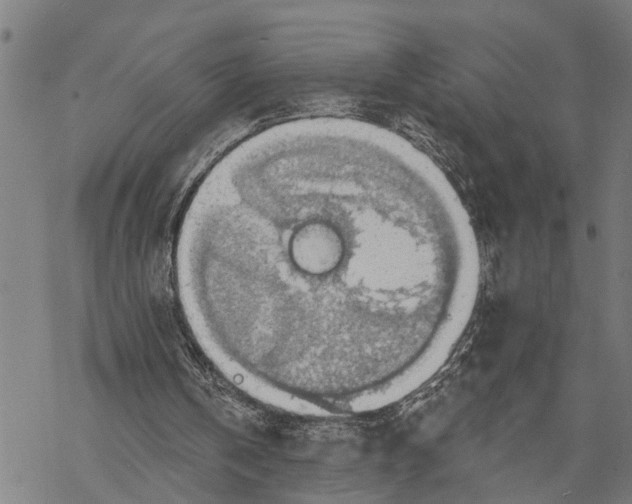 X0000068840146200605261649