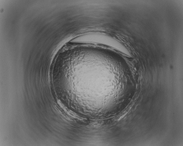 X0000068840148200605261649