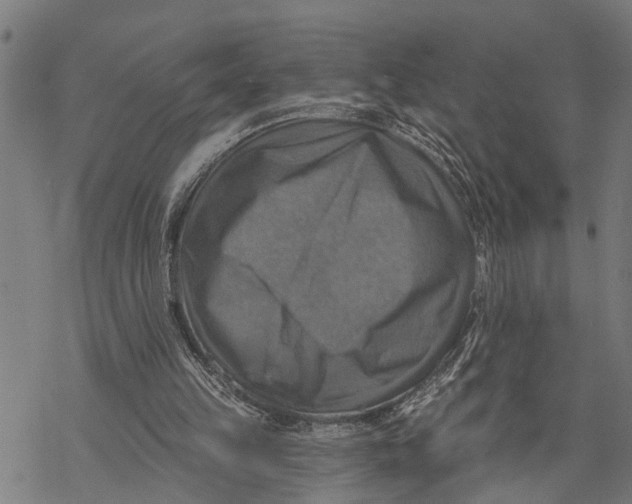 X0000068840149200605261649