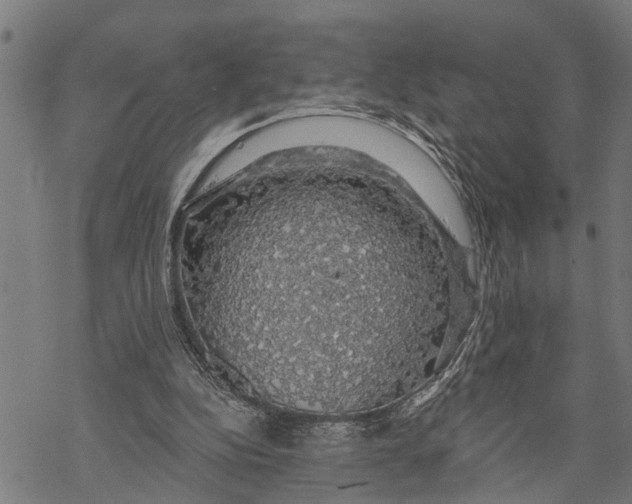 X0000068840152200605261649