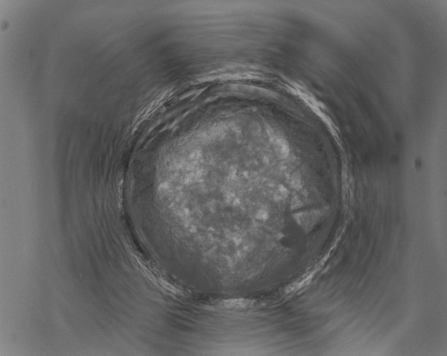 X0000068840153200605261649