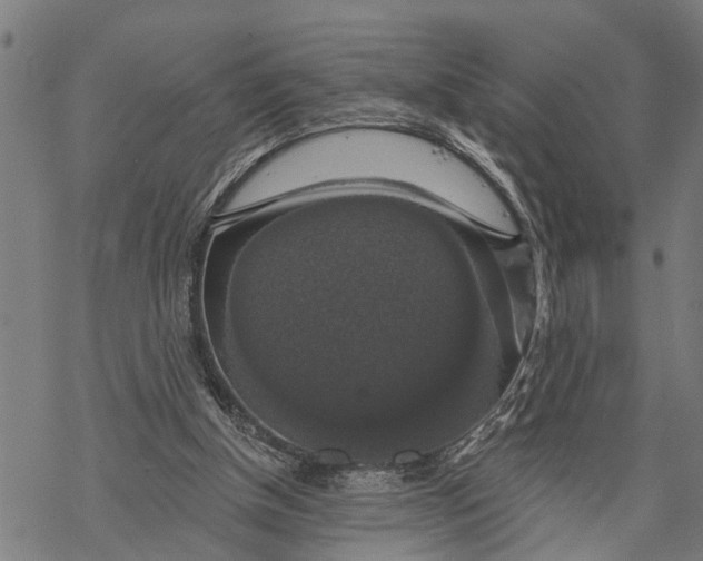 X0000068840154200605261649