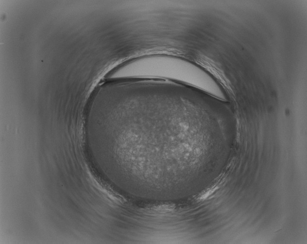 X0000068840156200605261649