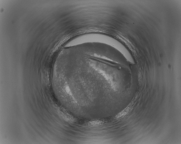 X0000068840158200605261649