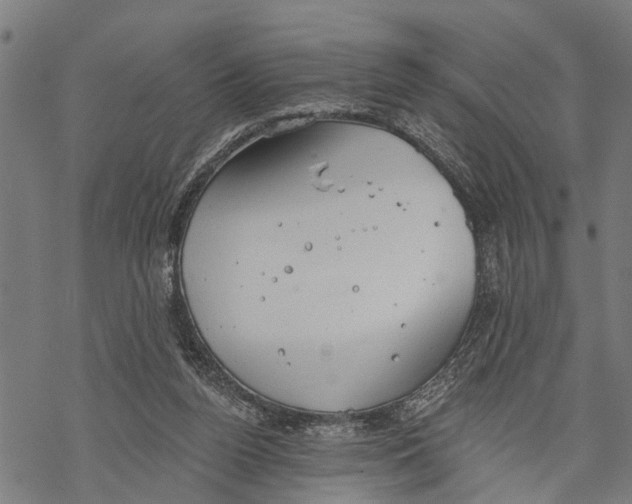 X0000068840160200605261649