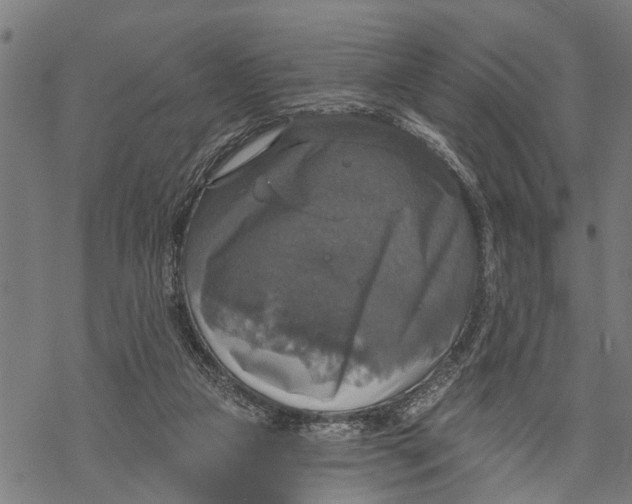 X0000068840161200605261649