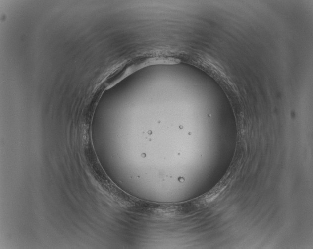 X0000068840164200605261649