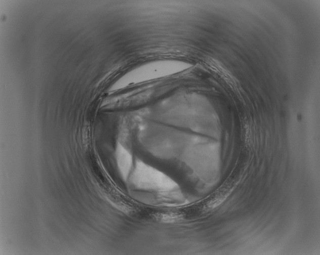 X0000068840165200605261649