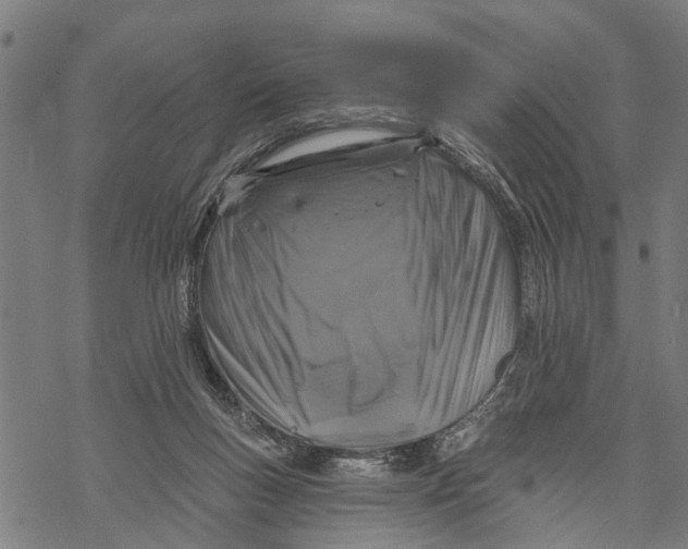 X0000068840167200605261649