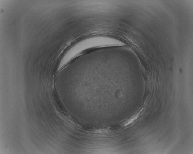 X0000068840168200605261649