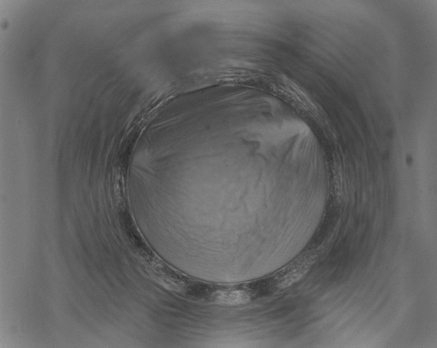 X0000068840169200605261649