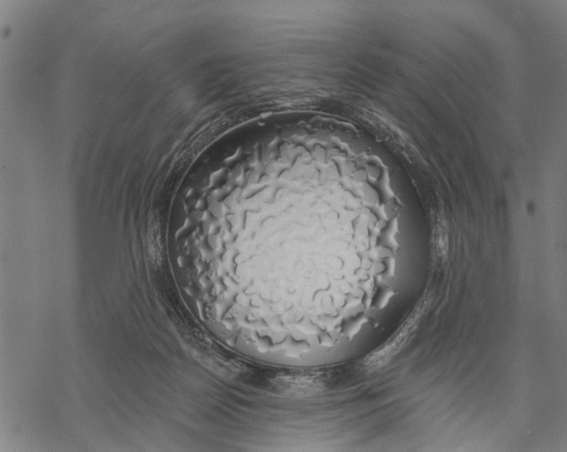 X0000068840170200605261649