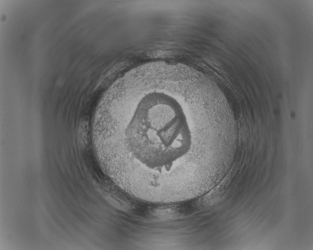 X0000068840171200605261649