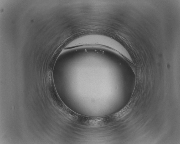 X0000068840172200605261649