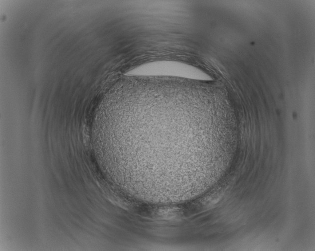 X0000068840173200605261649