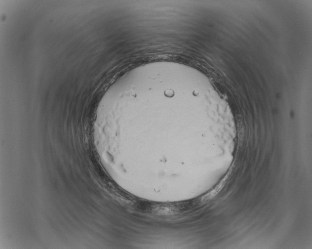 X0000068840174200605261649