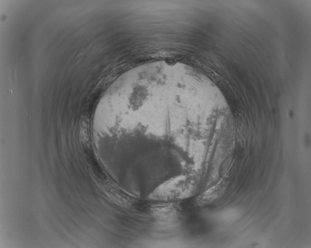 X0000068840175200605261649