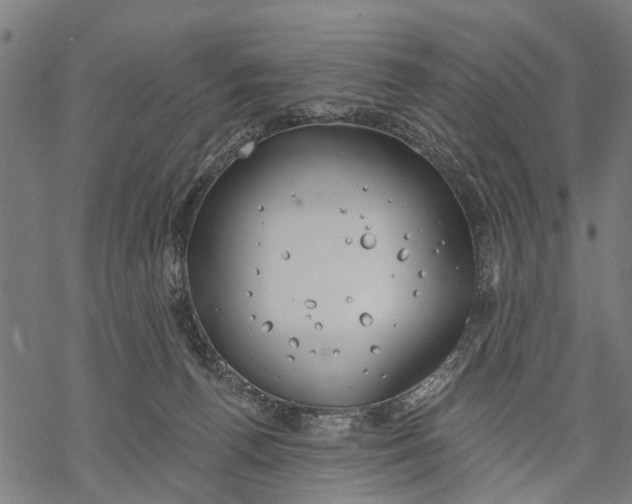 X0000068840176200605261649