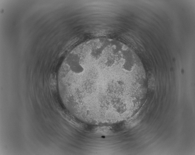 X0000068840179200605261649