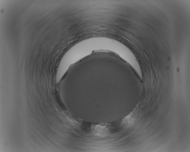 X0000068840180200605261649