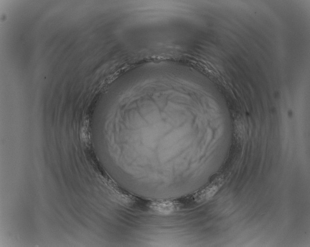 X0000068840181200605261649