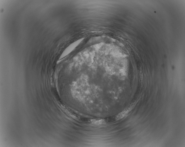 X0000068840185200605261650