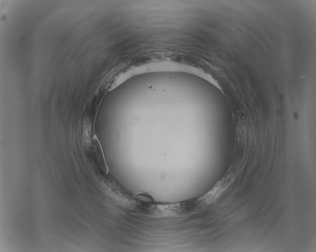 X0000068840188200605261650