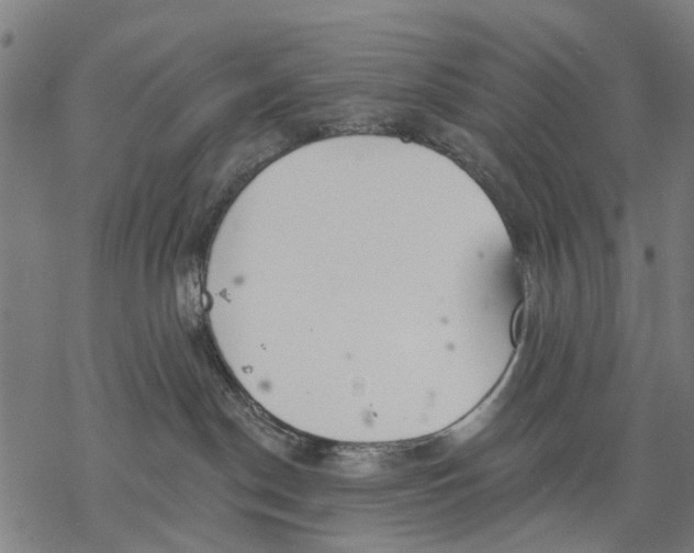 X0000068840190200605261650