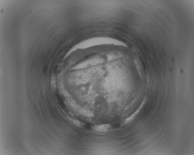 X0000068840191200605261650